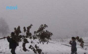 Šta znači ako pada snijeg na Božić: Kakva nas godina čeka Šta znači ako pada snijeg na Božić: Kakva nas godina čeka