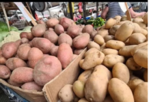 STRUČNJACI OTKRILI DA LI JE BOLJI CRVENI ILI BIJELI KROMPIR: Razlika je velika, a OVAJ je zdraviji STRUČNJACI OTKRILI DA LI JE BOLJI CRVENI ILI BIJELI KROMPIR: Razlika je velika, a OVAJ je zdraviji