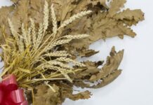 Uz badnjak obavezno treba uneti ovu biljku u kuću: Malo ko zna njenu simboliku Uz badnjak obavezno treba uneti ovu biljku u kuću: Malo ko zna njenu simboliku