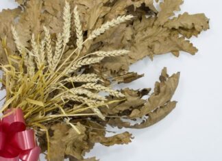 Uz badnjak obavezno treba uneti ovu biljku u kuću: Malo ko zna njenu simboliku Uz badnjak obavezno treba uneti ovu biljku u kuću: Malo ko zna njenu simboliku