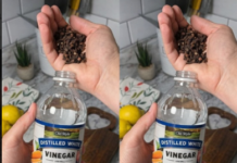 Uzmite čašu sirćeta, običnih karanfilića i dobro sačuvajte ovaj domaći trik: KORISTIM GA GODINAMA I PREPORUČUJEM SVIMA! Uzmite čašu sirćeta, običnih karanfilića i dobro sačuvajte ovaj domaći trik: KORISTIM GA GODINAMA I PREPORUČUJEM SVIMA!