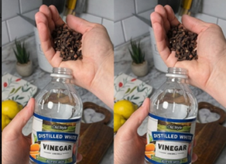 Uzmite čašu sirćeta, običnih karanfilića i dobro sačuvajte ovaj domaći trik: KORISTIM GA GODINAMA I PREPORUČUJEM SVIMA! Uzmite čašu sirćeta, običnih karanfilića i dobro sačuvajte ovaj domaći trik: KORISTIM GA GODINAMA I PREPORUČUJEM SVIMA!