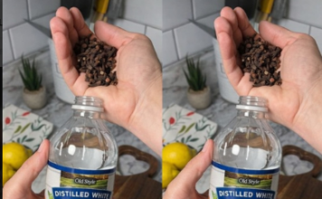 Uzmite čašu sirćeta, običnih karanfilića i dobro sačuvajte ovaj domaći trik: KORISTIM GA GODINAMA I PREPORUČUJEM SVIMA! Uzmite čašu sirćeta, običnih karanfilića i dobro sačuvajte ovaj domaći trik: KORISTIM GA GODINAMA I PREPORUČUJEM SVIMA!