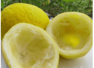 Uzmite koru od limuna i samo uradite ovo: Sudovi će biti blistavi kao nikad pre Uzmite koru od limuna i samo uradite ovo: Sudovi će biti blistavi kao nikad pre