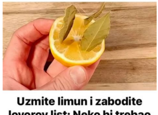 Uzmite limun i zabodite LOVOROV list: Neko bi TREBAO dobiti medalju za OVU ideju! Uzmite limun i zabodite LOVOROV list: Neko bi TREBAO dobiti medalju za OVU ideju!