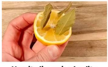 Uzmite limun i zabodite LOVOROV list: Neko bi TREBAO dobiti medalju za OVU ideju! Uzmite limun i zabodite LOVOROV list: Neko bi TREBAO dobiti medalju za OVU ideju!