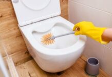 Verica s vremena na vreme u wc šolju ubaci tabletu za pranje sudova: Kada čujete zašto, oduševićete se Verica s vremena na vreme u wc šolju ubaci tabletu za pranje sudova: Kada čujete zašto, oduševićete se