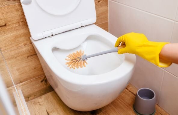 Verica s vremena na vreme u wc šolju ubaci tabletu za pranje sudova: Kada čujete zašto, oduševićete se Verica s vremena na vreme u wc šolju ubaci tabletu za pranje sudova: Kada čujete zašto, oduševićete se