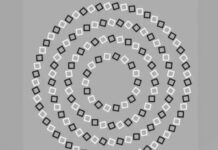 Zagonetka koja je zaludjela korisnike društvenih mreža: Koliko krugova vidite na slici? Zagonetka koja je zaludjela korisnike društvenih mreža: Koliko krugova vidite na slici?