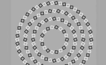 Zagonetka koja je zaludjela korisnike društvenih mreža: Koliko krugova vidite na slici? Zagonetka koja je zaludjela korisnike društvenih mreža: Koliko krugova vidite na slici?