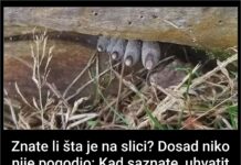 Znate li šta je na slici? Dosad niko nije pogodio: Kad saznate, uhvatit ćete se za glavu – ovo niste ni slutili Znate li šta je na slici? Dosad niko nije pogodio: Kad saznate, uhvatit ćete se za glavu – ovo niste ni slutili