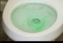 Bacite ovu tabletu u toalet i gledajte kako se magija dešava: požalit ćete što niste znali za to Bacite ovu tabletu u toalet i gledajte kako se magija dešava: požalit ćete što niste znali za to