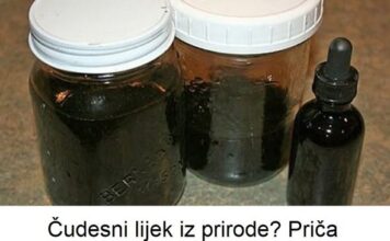 Čudesni lijek iz prirode? Priča Bugara koji je pobijedio tumor uz pomoć biljke koju svi imamo oko kuće! Čudesni lijek iz prirode? Priča Bugara koji je pobijedio tumor uz pomoć biljke koju svi imamo oko kuće!