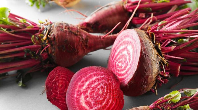 Cvekla je prirodni izvor antioksidanata, esencijalnih vitamina i minerala: A najzdravija je kad se jede na ovaj način Cvekla je prirodni izvor antioksidanata, esencijalnih vitamina i minerala: A najzdravija je kad se jede na ovaj način