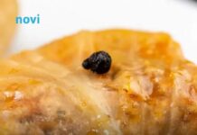 Da li u sarmu idu jaja Istina koja dijeli kuhinje na dva tabora Da li u sarmu idu jaja Istina koja dijeli kuhinje na dva tabora