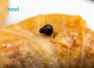 Da li u sarmu idu jaja Istina koja dijeli kuhinje na dva tabora Da li u sarmu idu jaja Istina koja dijeli kuhinje na dva tabora