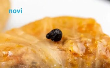 Da li u sarmu idu jaja Istina koja dijeli kuhinje na dva tabora Da li u sarmu idu jaja Istina koja dijeli kuhinje na dva tabora