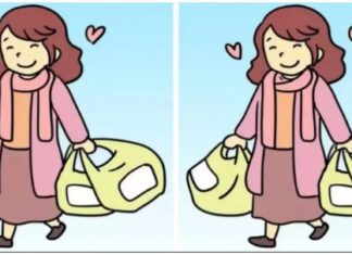 Da vas vidimo: Možete li pronaći sve razlike za 11 sekundi? Da vas vidimo: Možete li pronaći sve razlike za 11 sekundi?