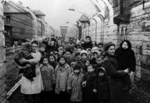 DNK test sina Jozefa Mengela otkrio užasnu istinu, evo kako je zaista skončao: Niko nije znao da je oženio suprugu pokojnog brata DNK test sina Jozefa Mengela otkrio užasnu istinu, evo kako je zaista skončao: Niko nije znao da je oženio suprugu pokojnog brata