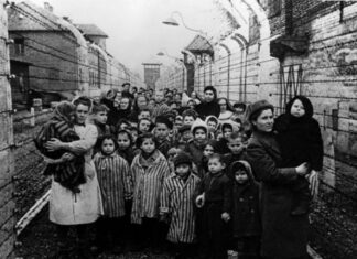 DNK test sina Jozefa Mengela otkrio užasnu istinu, evo kako je zaista skončao: Niko nije znao da je oženio suprugu pokojnog brata DNK test sina Jozefa Mengela otkrio užasnu istinu, evo kako je zaista skončao: Niko nije znao da je oženio suprugu pokojnog brata