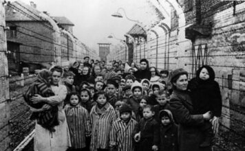 DNK test sina Jozefa Mengela otkrio užasnu istinu, evo kako je zaista skončao: Niko nije znao da je oženio suprugu pokojnog brata DNK test sina Jozefa Mengela otkrio užasnu istinu, evo kako je zaista skončao: Niko nije znao da je oženio suprugu pokojnog brata