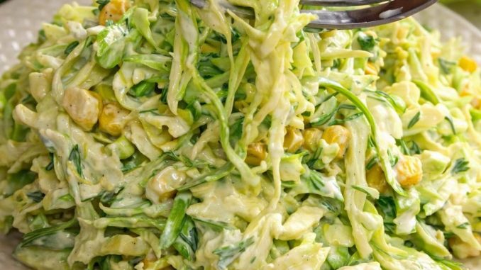 DVA RECEPTA ZA KUPUS SALATE: LAK0 I BRZ0 napravite 0dlične kupus salate DVA RECEPTA ZA KUPUS SALATE: LAK0 I BRZ0 napravite 0dlične kupus salate