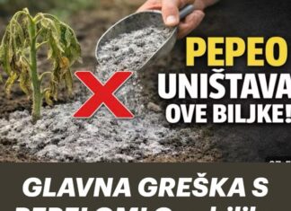 GLAVNA GREŠKA S PEPELOM! Ove biljke neće nahraniti, nego će ih UNIŠTITI! GLAVNA GREŠKA S PEPELOM! Ove biljke neće nahraniti, nego će ih UNIŠTITI!