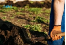 Krenite na vrijeme: Šta se sije u martu da bi vam bašta u maju bila puna plodova Krenite na vrijeme: Šta se sije u martu da bi vam bašta u maju bila puna plodova