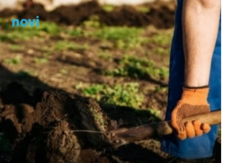 Krenite na vrijeme: Šta se sije u martu da bi vam bašta u maju bila puna plodova Krenite na vrijeme: Šta se sije u martu da bi vam bašta u maju bila puna plodova