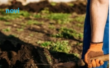 Krenite na vrijeme: Šta se sije u martu da bi vam bašta u maju bila puna plodova Krenite na vrijeme: Šta se sije u martu da bi vam bašta u maju bila puna plodova