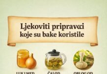LJEKOVITI PRIPRAVCI KOJE SU KORISTILE NAŠE BAKE LJEKOVITI PRIPRAVCI KOJE SU KORISTILE NAŠE BAKE