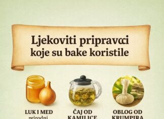 LJEKOVITI PRIPRAVCI KOJE SU KORISTILE NAŠE BAKE LJEKOVITI PRIPRAVCI KOJE SU KORISTILE NAŠE BAKE