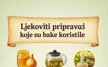 LJEKOVITI PRIPRAVCI KOJE SU KORISTILE NAŠE BAKE LJEKOVITI PRIPRAVCI KOJE SU KORISTILE NAŠE BAKE