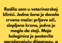 Mače je dobilo drugu šansu nakon što ga je vlasnica ostavila u veterinarskoj klinici Mače je dobilo drugu šansu nakon što ga je vlasnica ostavila u veterinarskoj klinici