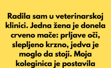 Mače je dobilo drugu šansu nakon što ga je vlasnica ostavila u veterinarskoj klinici Mače je dobilo drugu šansu nakon što ga je vlasnica ostavila u veterinarskoj klinici