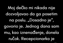 Moj dečko mi nikada nije dozvoljavao da ga posetim na radnom mestu. Moj dečko mi nikada nije dozvoljavao da ga posetim na radnom mestu.