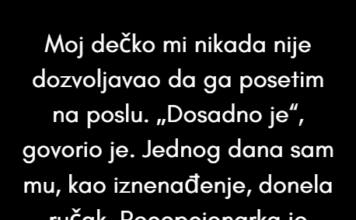 Moj dečko mi nikada nije dozvoljavao da ga posetim na radnom mestu. Moj dečko mi nikada nije dozvoljavao da ga posetim na radnom mestu.
