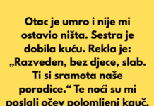 Moj otac je umro i nije mi ostavio ništa. Moj otac je umro i nije mi ostavio ništa.