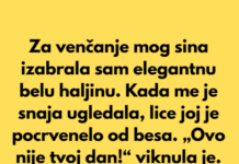 Moja snaja me je ponizila, ali reakcija mog sina bila je pravi šok. Moja snaja me je ponizila, ali reakcija mog sina bila je pravi šok.