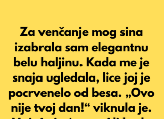 Moja snaja me je ponizila, ali reakcija mog sina bila je pravi šok. Moja snaja me je ponizila, ali reakcija mog sina bila je pravi šok.