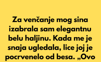 Moja snaja me je ponizila, ali reakcija mog sina bila je pravi šok. Moja snaja me je ponizila, ali reakcija mog sina bila je pravi šok.