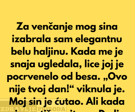 Moja snaja me je ponizila, ali reakcija mog sina bila je pravi šok. Moja snaja me je ponizila, ali reakcija mog sina bila je pravi šok.