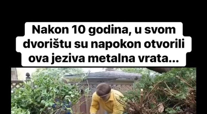 Nakon 10 godina, u svom dvorištu su napokon otvorili ova jeziva metalna vrata… Nakon 10 godina, u svom dvorištu su napokon otvorili ova jeziva metalna vrata…