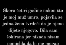 Neću dati ni jednu paru tajnom djetetu mog pokojnog muža. Neću dati ni jednu paru tajnom djetetu mog pokojnog muža.
