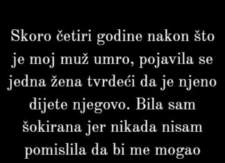Neću dati ni jednu paru tajnom djetetu mog pokojnog muža. Neću dati ni jednu paru tajnom djetetu mog pokojnog muža.