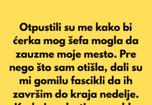 Nepravedno sam dobila otkaz — a na kraju se ispostavilo da je to bila moja pobeda Nepravedno sam dobila otkaz — a na kraju se ispostavilo da je to bila moja pobeda