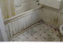 Nikada se ne biste setili: Vlaga i buđ nestaju uz ovaj začin, efekat je gotovo trenutni Nikada se ne biste setili: Vlaga i buđ nestaju uz ovaj začin, efekat je gotovo trenutni