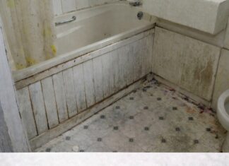 Nikada se ne biste setili: Vlaga i buđ nestaju uz ovaj začin, efekat je gotovo trenutni Nikada se ne biste setili: Vlaga i buđ nestaju uz ovaj začin, efekat je gotovo trenutni