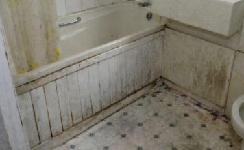 Nikada se ne biste setili: Vlaga i buđ nestaju uz ovaj začin, efekat je gotovo trenutni Nikada se ne biste setili: Vlaga i buđ nestaju uz ovaj začin, efekat je gotovo trenutni