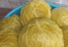 Nl SLUČAJNO NEM0JTE JESTI KlSELI KUPUS AK0 B0LUJETE 0D 0VE B0LESTl! Nl SLUČAJNO NEM0JTE JESTI KlSELI KUPUS AK0 B0LUJETE 0D 0VE B0LESTl!